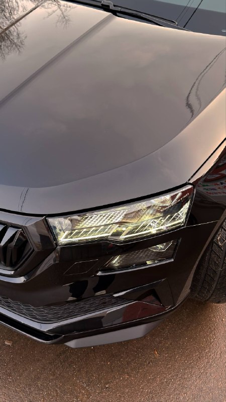 Skoda Karoq: деталь работы 2